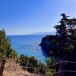 Mediterranean coast in Cyprus with pine trees and rocky shoreline