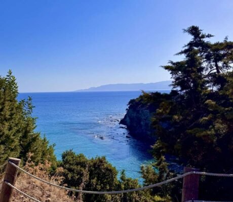 Mediterranean coast in Cyprus with pine trees and rocky shoreline