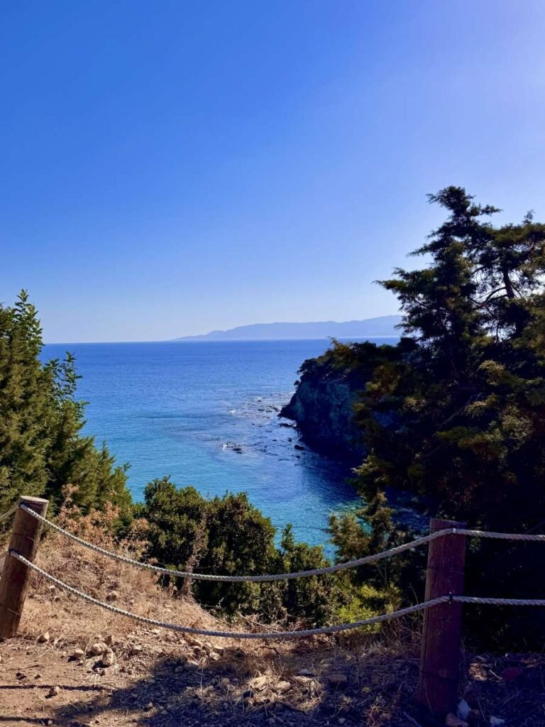 Coastal path in Cyprus overlooking the Mediterranean Sea, rocky shoreline and pine trees under clear blue sky