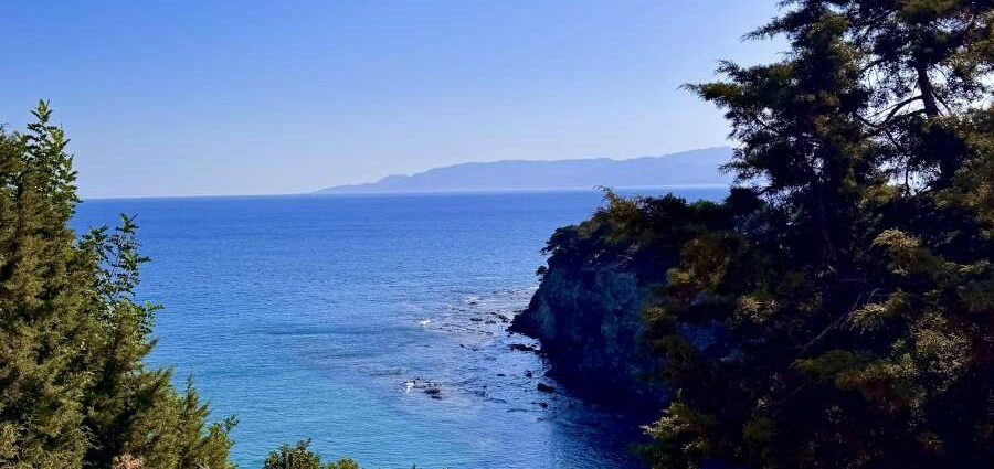 Mediterranean coast in Cyprus with pine trees and rocky shoreline